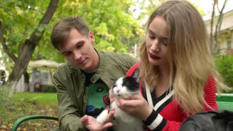 Young Man and Woman sitting on a Bench in Park and playing with a Cat