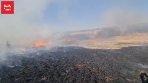 ‘Drastic and disturbing spike in the number of fires in KwaZulu-Natal’