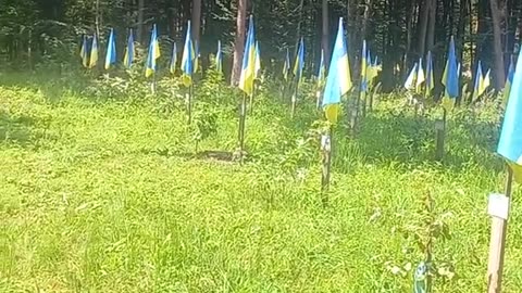 These are cemeteries for soldiers of the Ukrainian armed forces