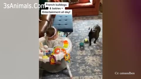 Adorable_PupA_Cute_Puppy_🐶and_Baby👶_Videos rumble.com