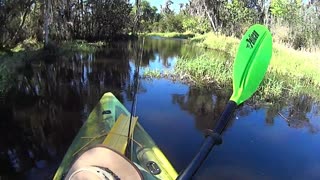 Kayak Fly Fishing Review of Gator Lake in Polk County, Florida