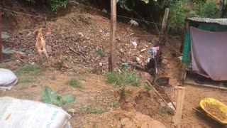 Cuatro viviendas afectadas por un deslizamiento de tierra al norte de Bucaramanga