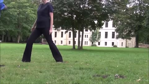Border Collie learns body jumps to other people