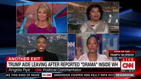 CNN Commentator Screams, Gloats Over Omarosa Manigault Leaving White House