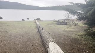 Hiking the Flooded Section of Timothy Lake Shoreline Loop – Mount Hood – Oregon – 4K