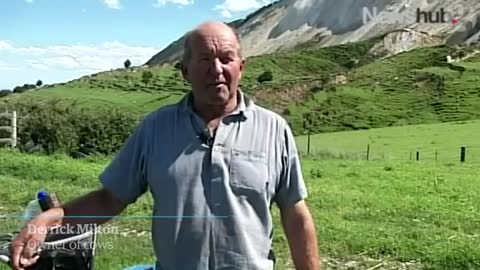 New Zealand cows' owner tells of earthquake rescue