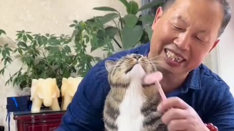 Cats love all that stuff SPA DAY.👏👏👏❤️ | Cat spa | Cat massage | cat lovers