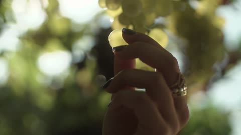 Holding a grape against the light