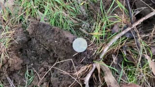 Goldfield Treasure Metal Detecting