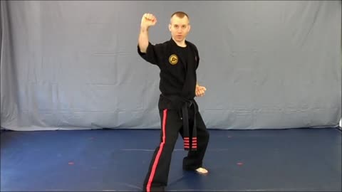 Basic Skillz Gold Belt - Purple Stripe