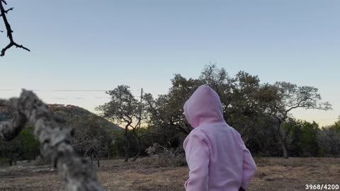 releases Great Horned Owl