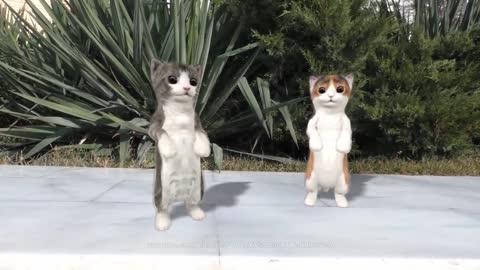 cats dancing on music