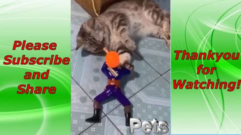 Funny Pets Compilation #9