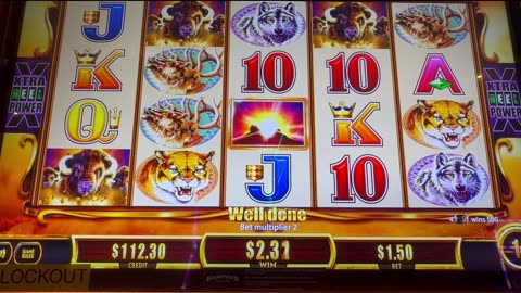 Random Bonus on Buffalo Gold Revolution🎰💲