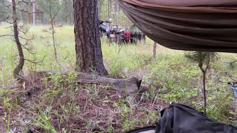 Camping on the wild side