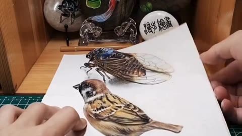 3D Drawing Art