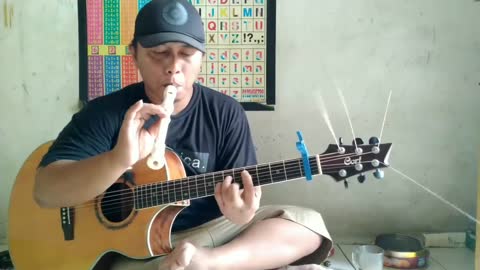 My Heart Will Go On - Celine Dion (fingerstyle cover)