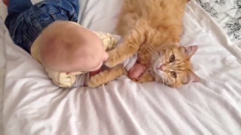 Cats Meeting Babies for the FIRST Time cute