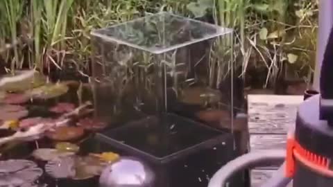 A great idea with an aquarium