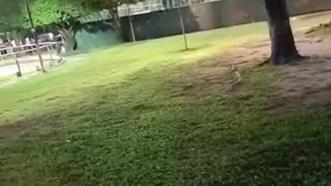 Video: Soldado causó terror en Sabana de Torres tras disparar su fusil en pleno parque
