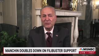 Democrats SCARED For Midterms: Schumer Discusses Why They'll Lose