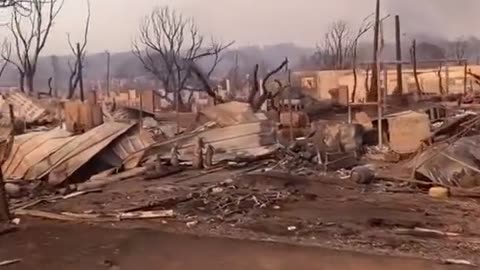 Unveiling the Heartbreak: Unprecedented Devastation from Maui's Fires