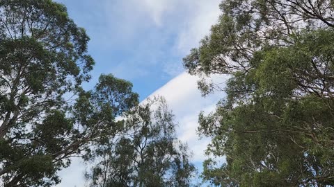 June Geo-engineering in Sydney