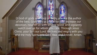 Worship for 5th after Pentecost