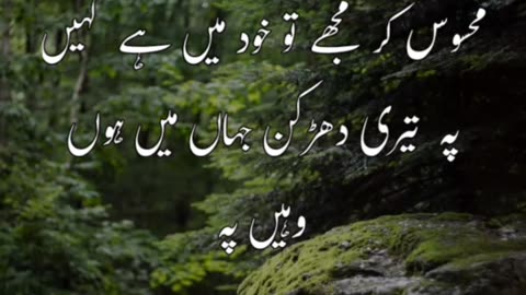 Status| video| status video| shayari status| shayari video|