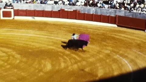 Spain 1974 Pt.2 Raw footage