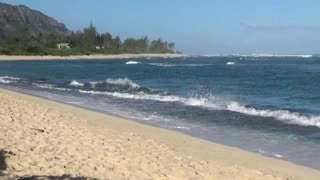 Mokule'ia, HI — Mokule'ia Beach Park