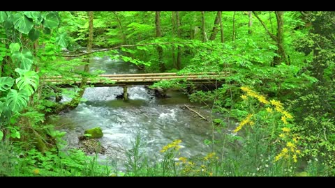 Music to Meditate and Relax with Creek and Nature Sounds - Calm Thoughts