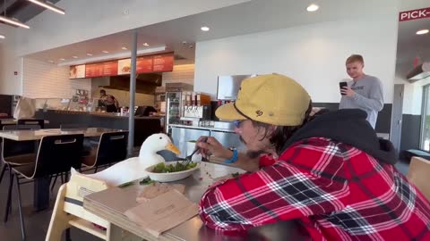 i took my duck to Chipotle