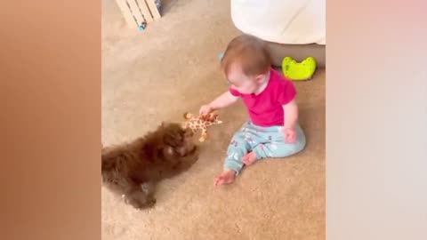 Cats and dogs funny videos 🤣 AND BABIES FUNNY VIDEOS