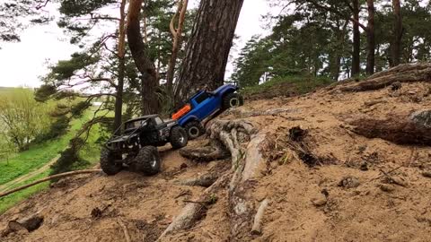 RC Cars in a test hill ride, which is the best one
