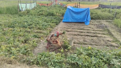 Village Women Morning Routine in winter Fog, Cooking Traditional Foods | Village Life India