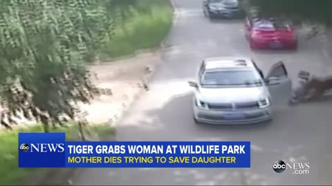 A tiger attack women
