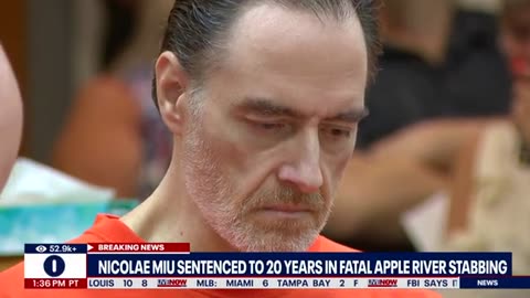 Apple River Stabbing: Nicolae Miu sentenced to 20 years in prison | LiveNOW from FOX