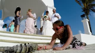 Dama de honor alimenta con la mano a una enorme iguana