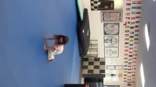 Taekwondo Judo & Kickboxing Class