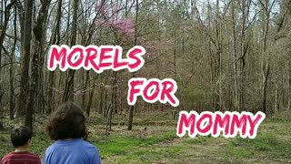 Morels for Mommy