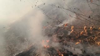 Tornado Formation Coming from Fire