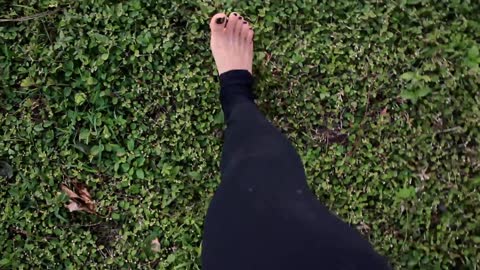 Woman Feet Walking On The Grass Barefooted