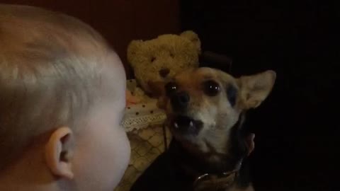 Priceless singing duet between dog and baby
