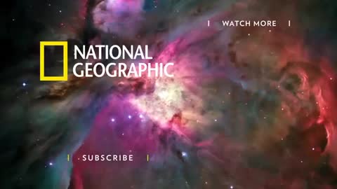 The USA Fentanyl Crisis DOCUMENTARIO National Geographic.Il fentanyl ha messo il turbo alla più letale crisi della droga nella storia americana.oltre i senzatetto sono pure pieni di drogati in America