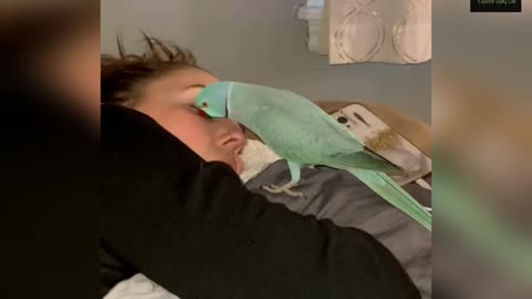 My Poor Parrot Thought I Was Ignoring Him🥺