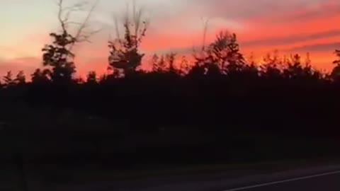 Crimson sunset