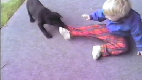 Energetic puppy takes down toddler