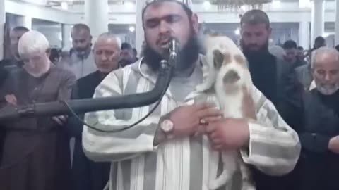 CNN.Cat jumps on sheikh leading prayer.