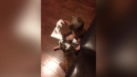 The Cutest Game Of Tug Of War